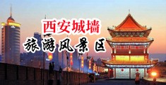 轻轻插果冻在线视频中国陕西-西安城墙旅游风景区