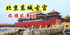 好爽好骚片中国北京-东城古宫旅游风景区